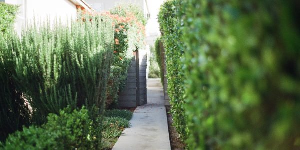 garden-way-600x300-1.jpg